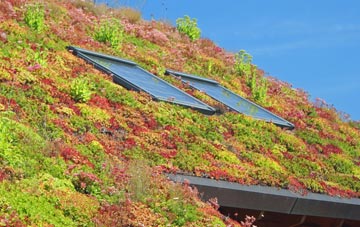 Harswell living roof systems